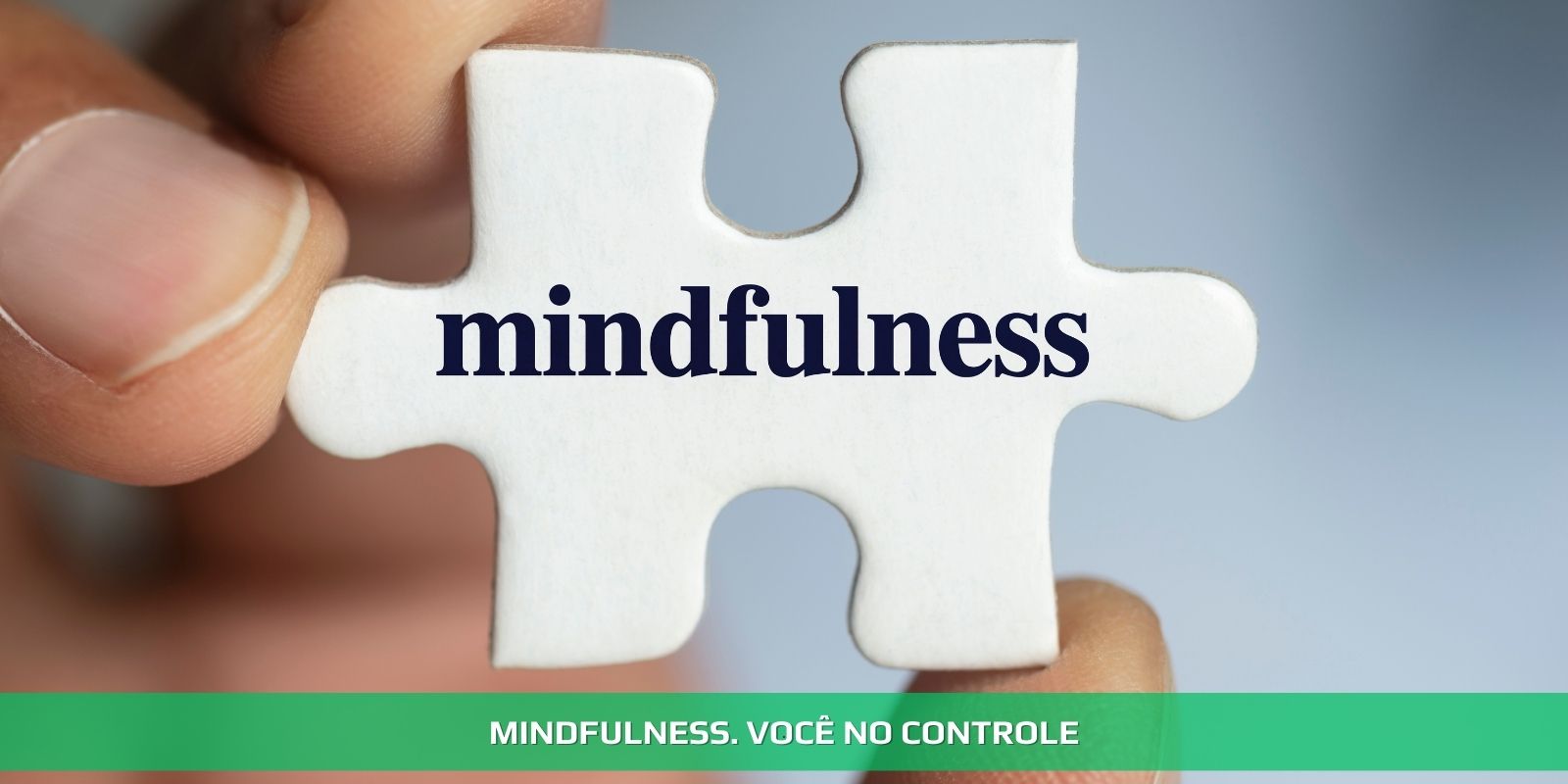 Figura 4 - MINDFULNESS. SETUP MENTAL PARA O SUCESSO